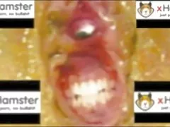 Seks porno mashtrimit burri cums në gomar të bukur gruan e para punës