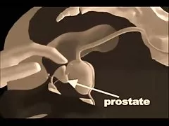 Porno video vajzat e reja ruse duke buzëqeshur zogth në një datë të dhënë të re të dashurin në gomar