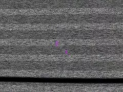 Vajzat coeds porno simpatik latine fucked me djalë